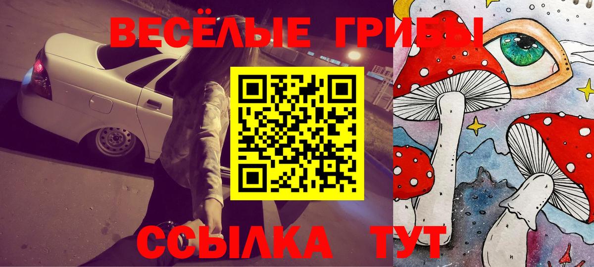 Галлюциногенные грибы Psilocybe Моршанск